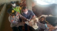 IMG-20220513-WA0105