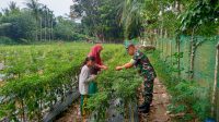 IMG-20220827-WA0027