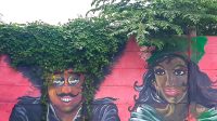 IMG-20220910-WA0046