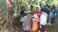 IMG-20220919-WA0045