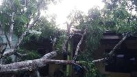IMG-20221017-WA0032