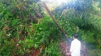 IMG-20221019-WA0003