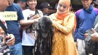 FB_IMG_1667795056947