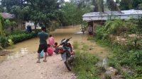 IMG-20221107-WA0089