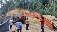 IMG-20221113-WA0018