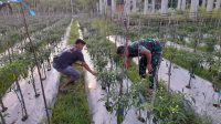 IMG-20221205-WA0164