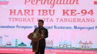 IMG-20221222-WA0049