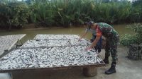 IMG-20230109-WA0064