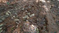 IMG-20230121-WA0023