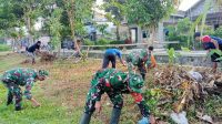 IMG-20230123-WA0046