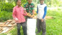 IMG-20230130-WA0049