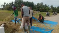 IMG-20230218-WA0046