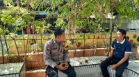 IMG-20230312-WA0033