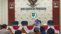 IMG-20230331-WA0062