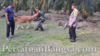 IMG-20230606-WA0052_wm