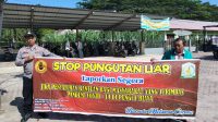 IMG-20230627-WA0025