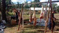 IMG-20230629-WA0098