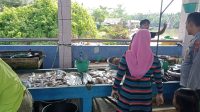 IMG-20230706-WA0014