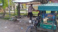 IMG-20230709-WA0037