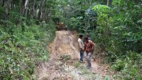 IMG-20230713-WA0054