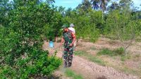 IMG-20230714-WA0052