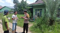 IMG-20230726-WA0028