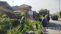 IMG-20230730-WA0050