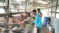 IMG-20230807-WA0025