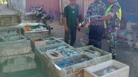 IMG-20230911-WA0032