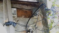 IMG-20230915-WA0059