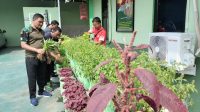 IMG-20231010-WA0061