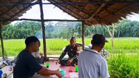 IMG-20231014-WA0034