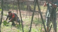 IMG-20231105-WA0088