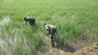 IMG-20231108-WA0026