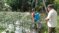 IMG-20231129-WA0021