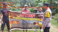 IMG-20231204-WA0052