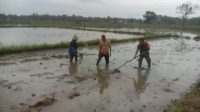 IMG-20231219-WA0068