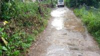 IMG-20240107-WA0044