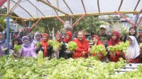 IMG-20240125-WA0003