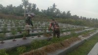 IMG-20240423-WA0040