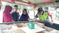IMG-20240428-WA0014