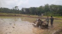 IMG-20240430-WA0036