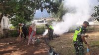 IMG-20240517-WA0012