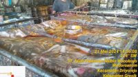 IMG-20240531-WA0015