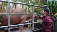 FB_IMG_1717672531780