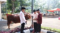 IMG-20240617-WA0008
