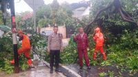 IMG-20240704-WA0017