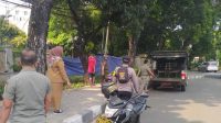 IMG-20240723-WA0012