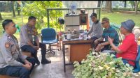 IMG-20240812-WA0033