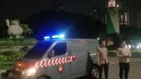IMG-20240925-WA0014
